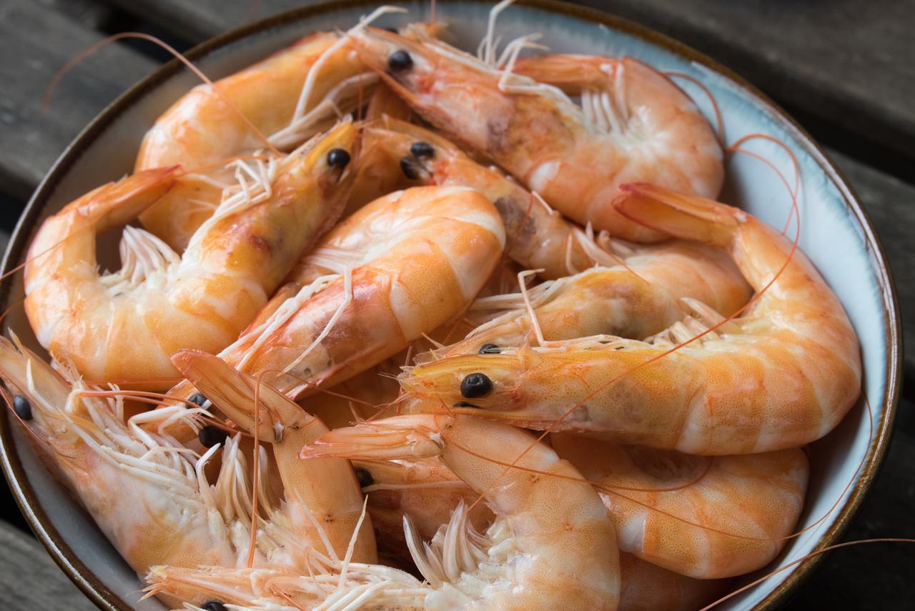 Why to choose wild American shrimp over farmraised shrimp
