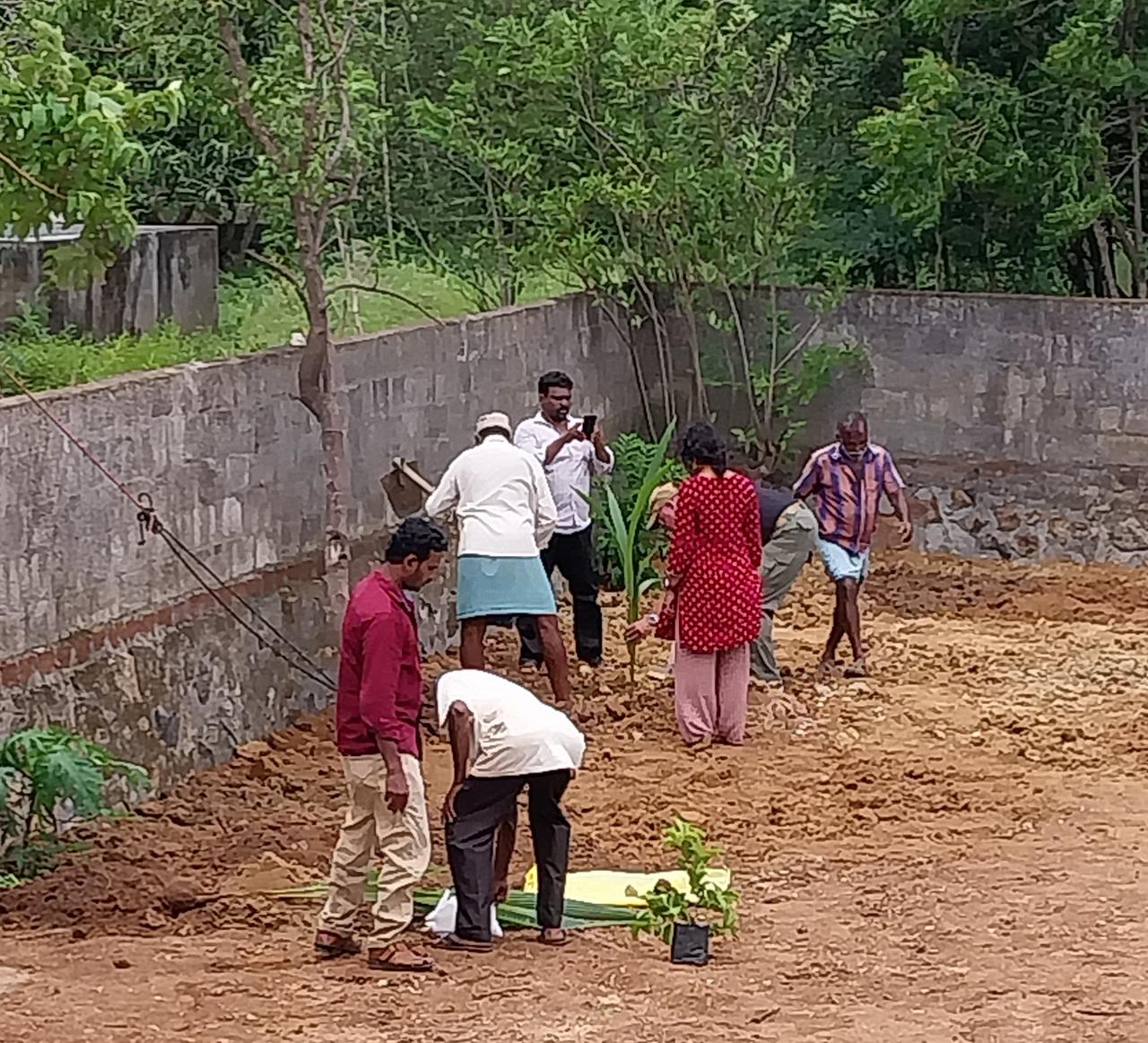 sandhya_planting_4.jpg