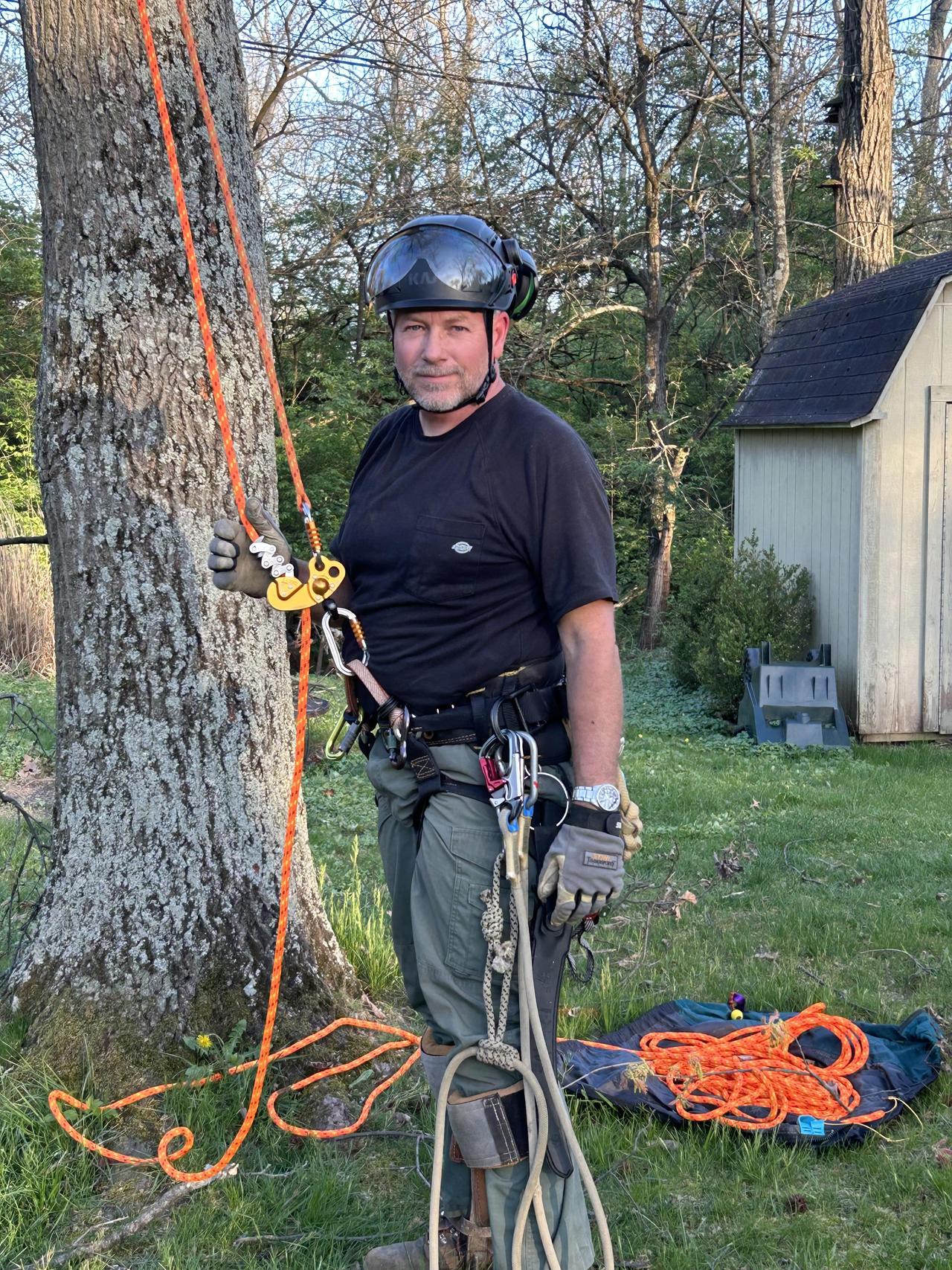 darrin_tree_ (2).jpeg