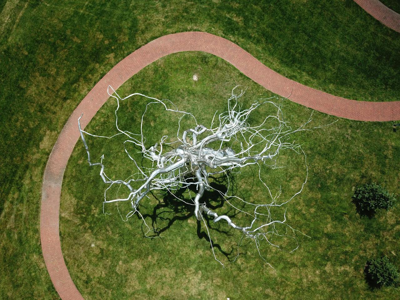 Top view of a neuron-like sculpture surrounded by grass and a footpath in Kansas City park.