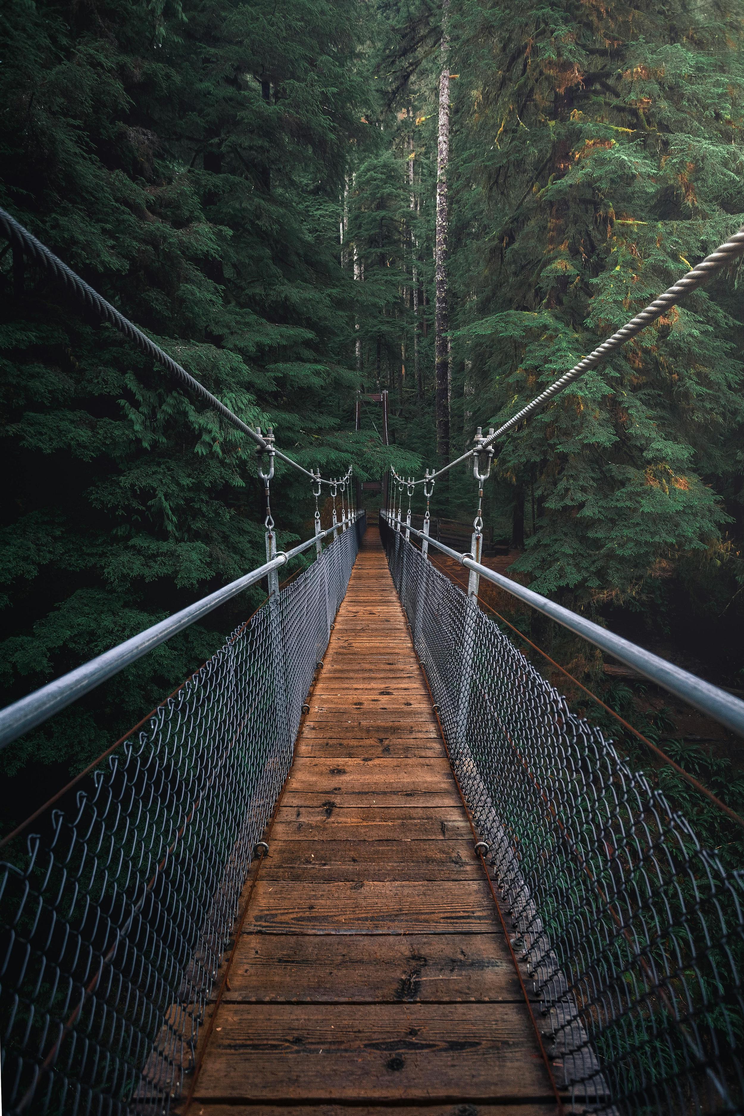 pexels-jake-pnw-1761279.jpg