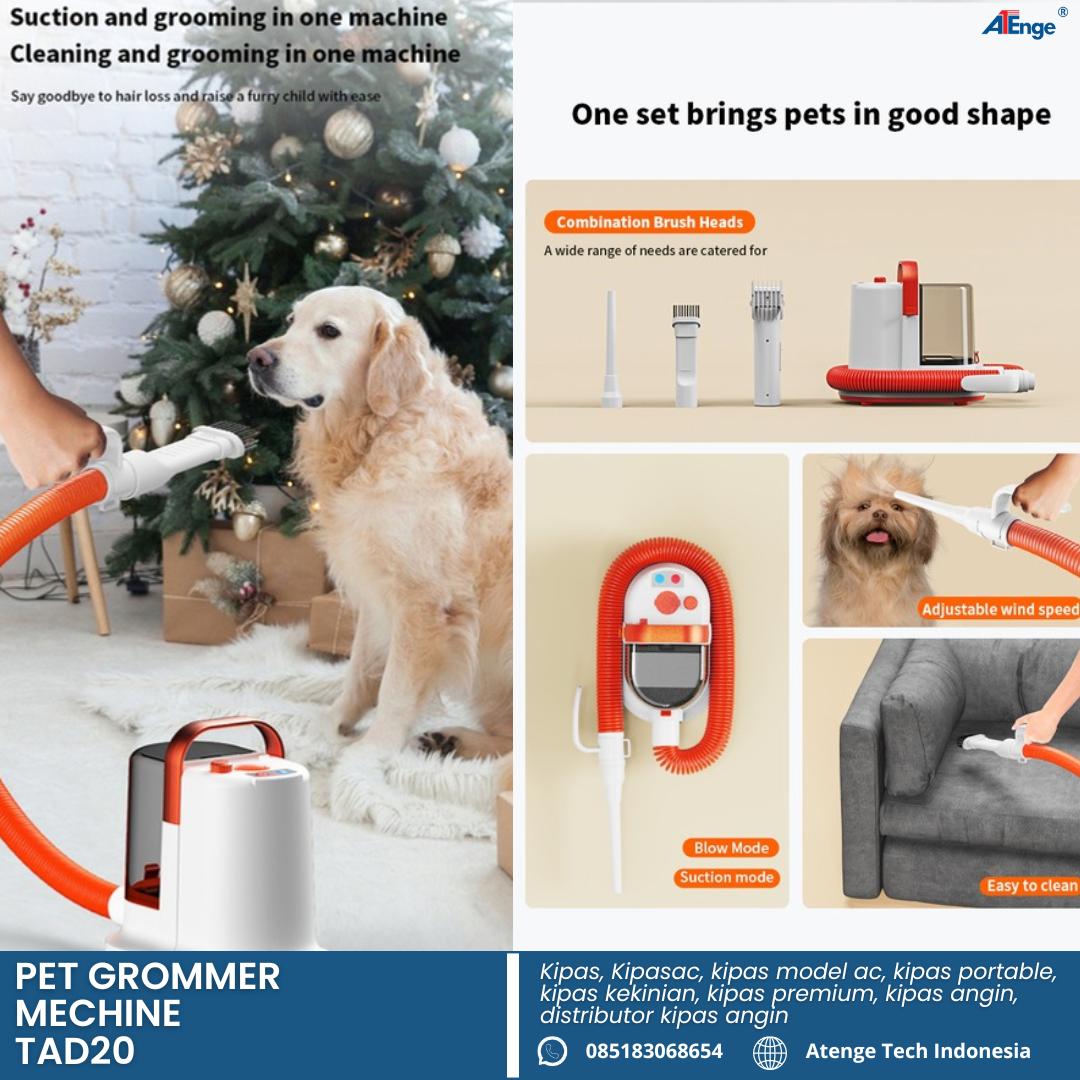 feed instagram 11 september.png