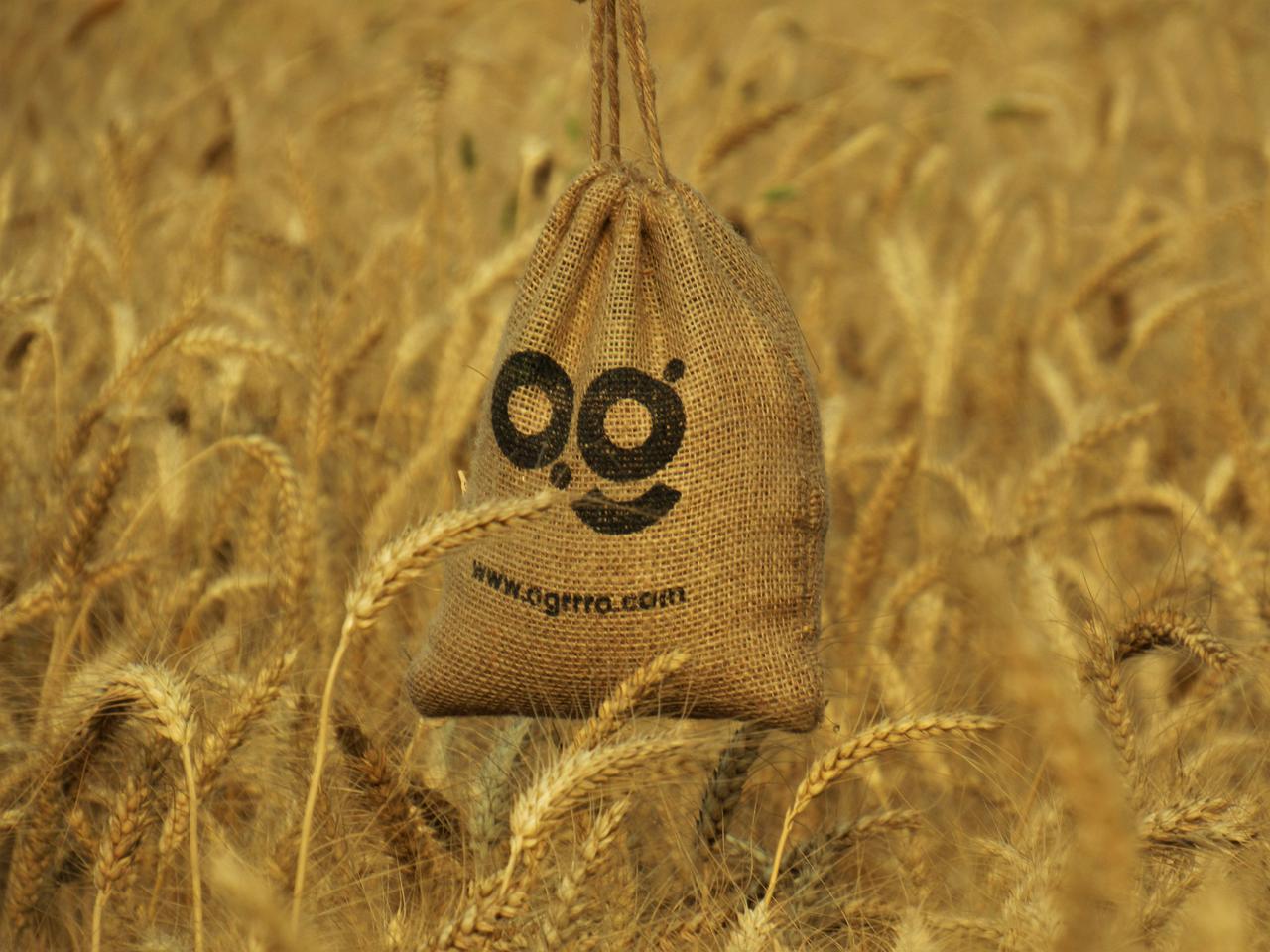 jute sack bag or jute potli in the wheat field