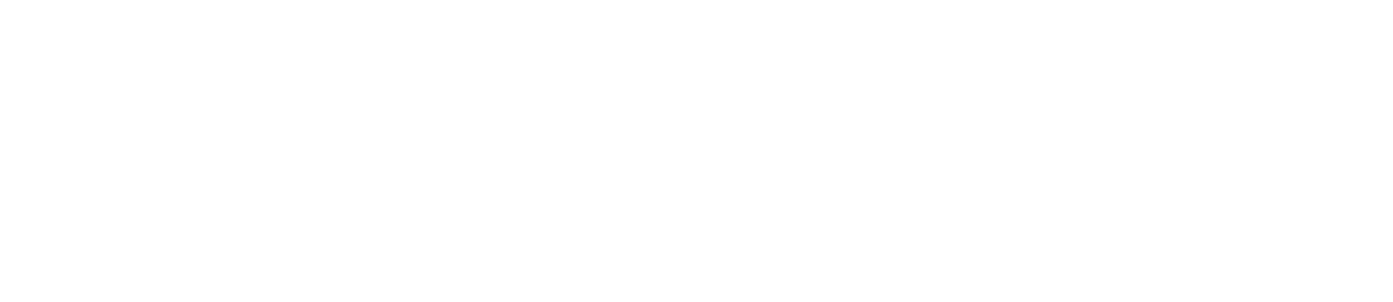 promptyn logo (white)-01.png