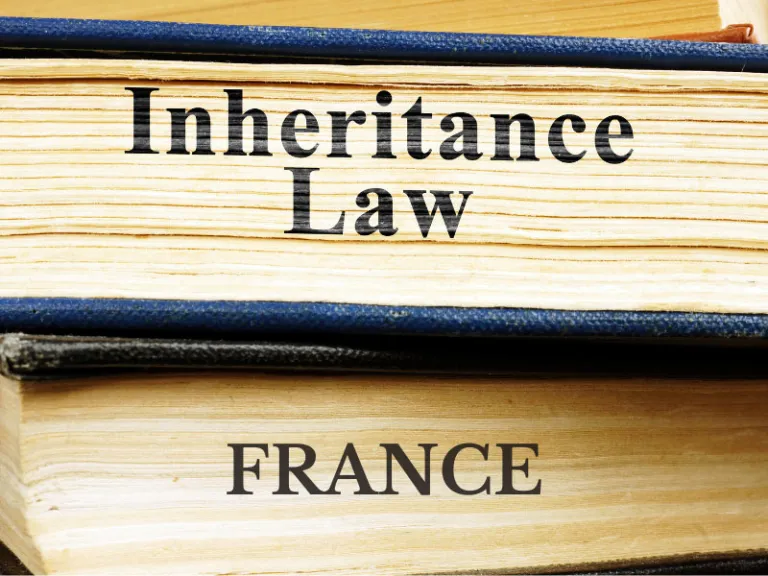 guide-to-success-law-france.webp