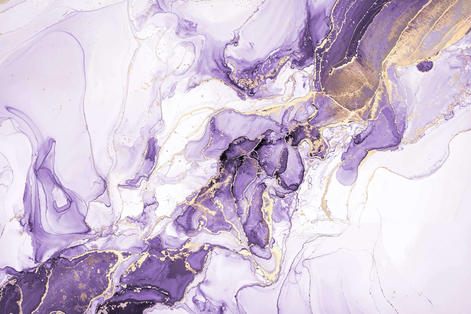 Building Finishes - Interior Finishes