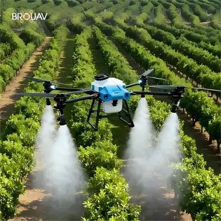 Agricultural Crops Production