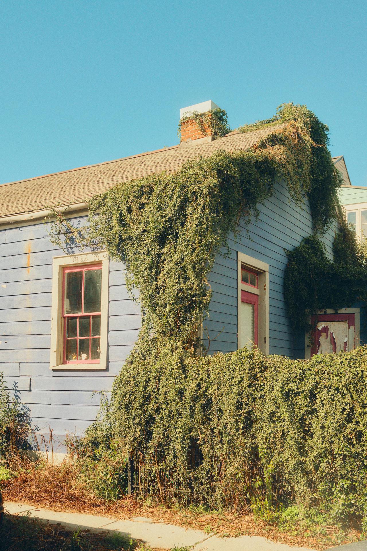 Explore a quaint, foliage-covered house in historic New Orleans' Algiers Point.