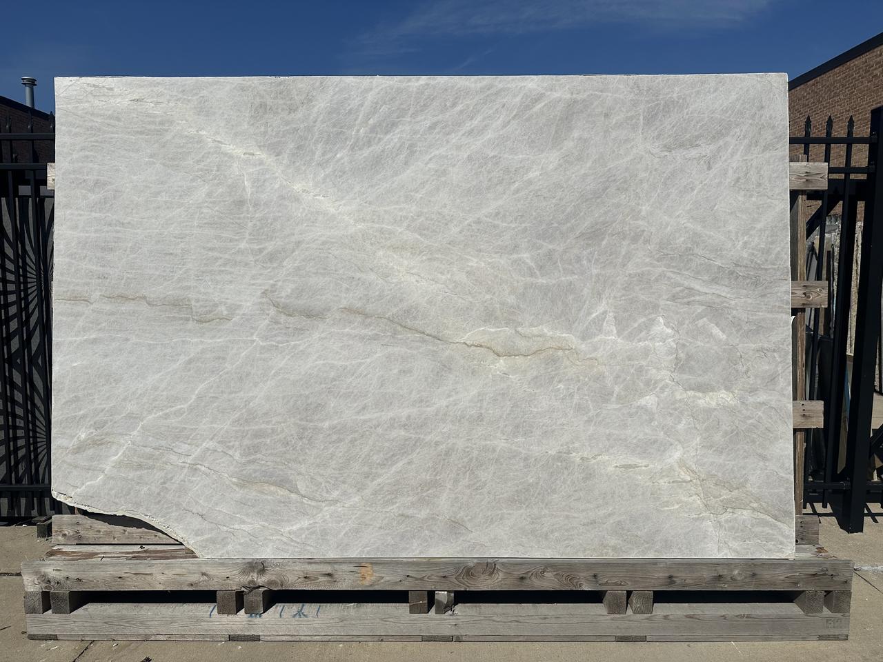 taj mahal leather 2cm 120x78.jpg