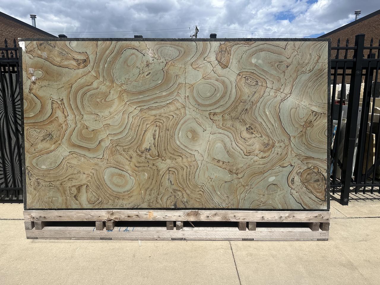 turtle green 130x72.jpg