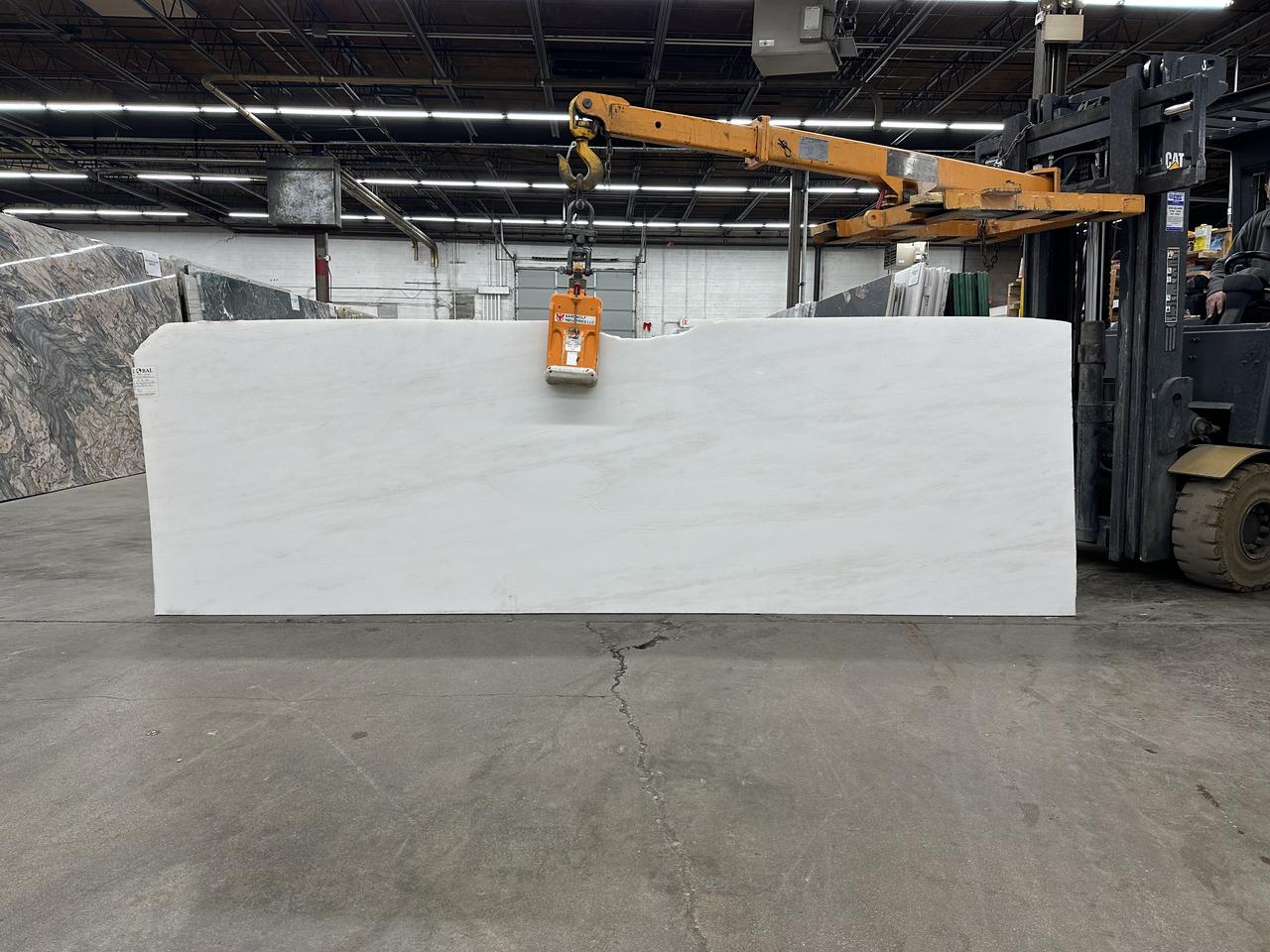 bianco rhino 127x38.jpg