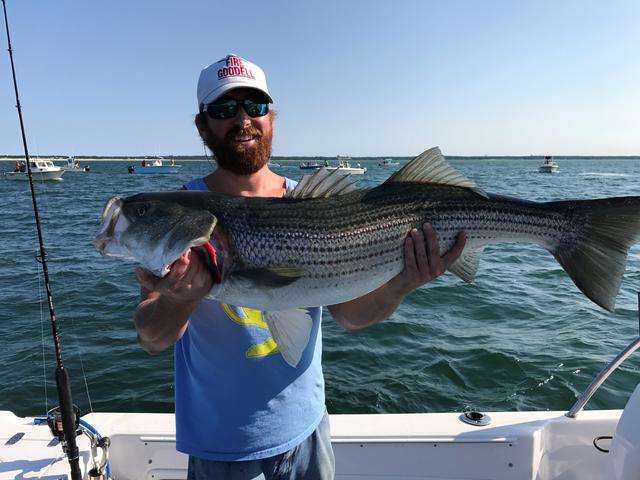 man with beard holding a striped bass