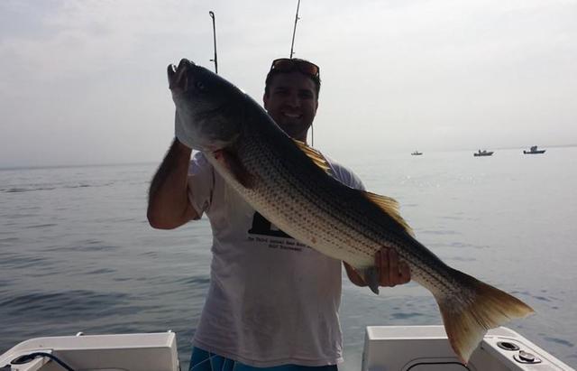 man posing with a striped bass on a cloudy day