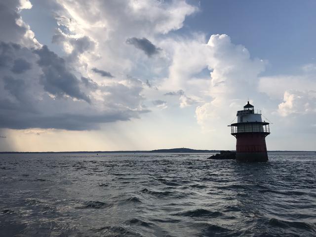 whale watching plymouth ma