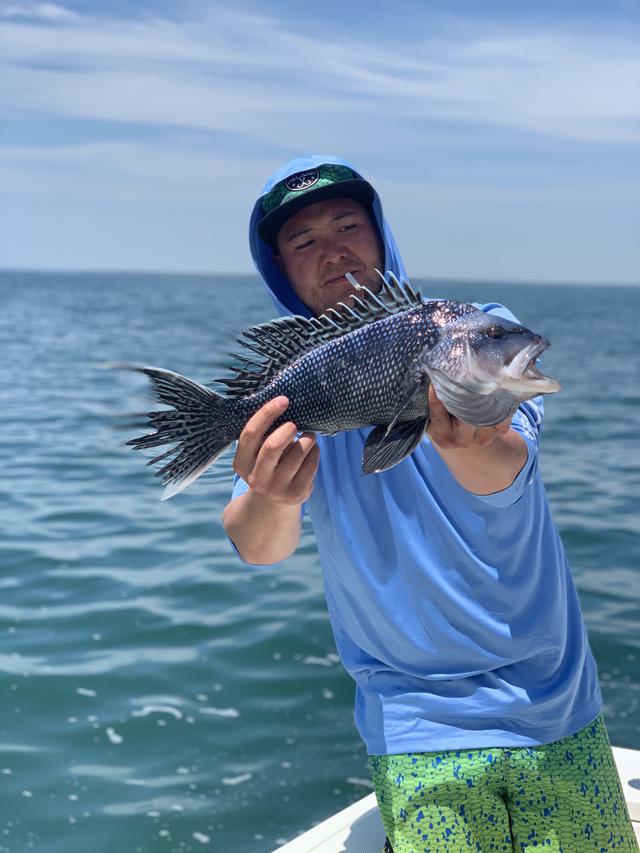 man in blue t-shirt holding a black sea bass
