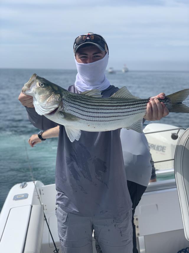 man holding up a striped bass