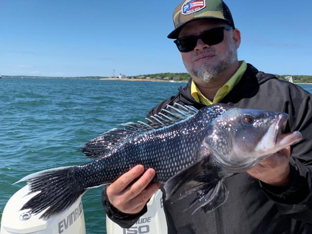 man with gray beard showing off a black sea bass while fishing