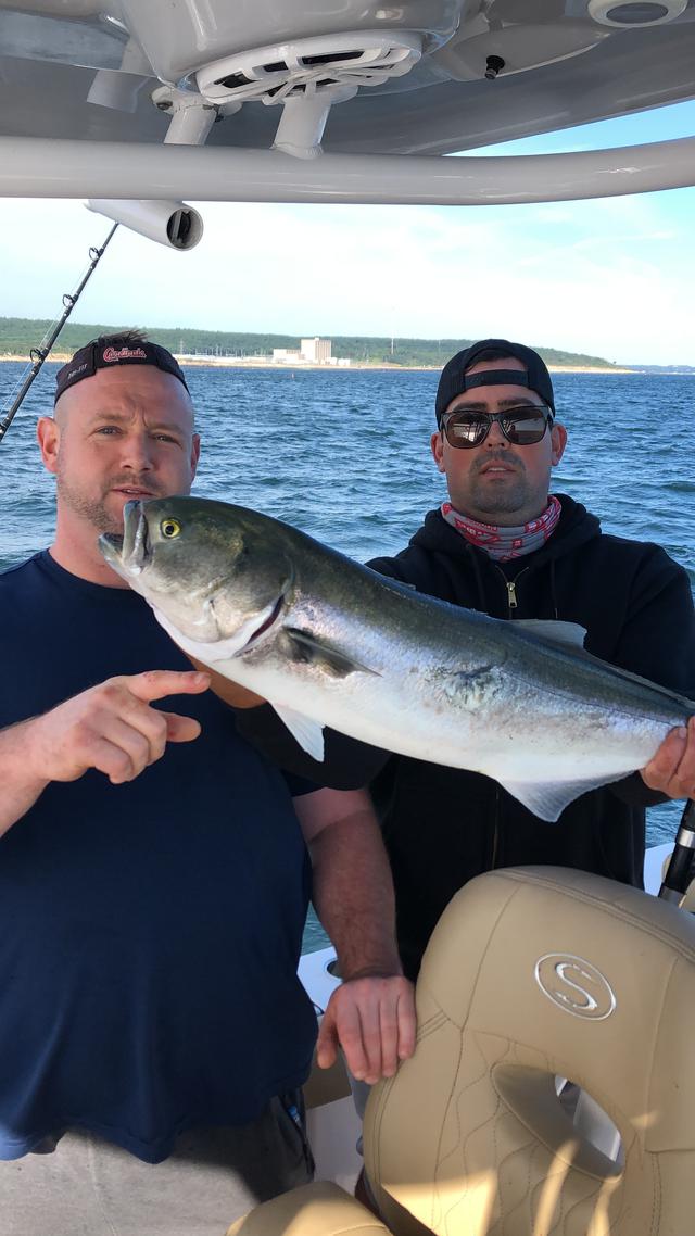 two men showing off a striped bass while fishing