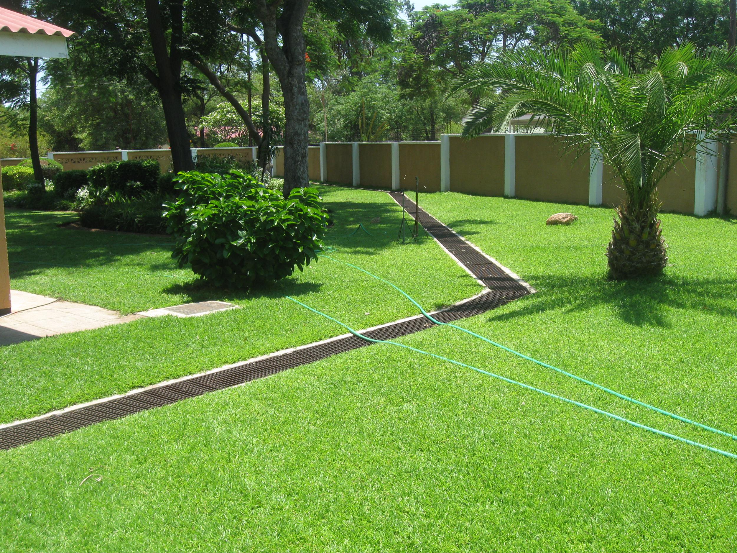 lawn.jpg