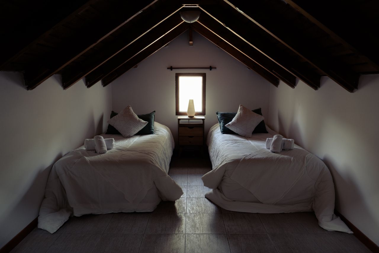 The Attic Twin