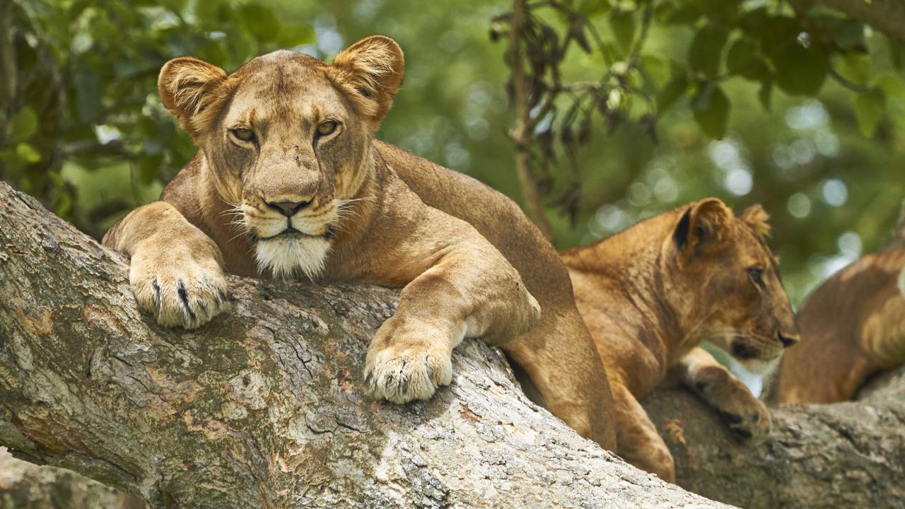 queen-elizabeth-national-park-uganda.jpg