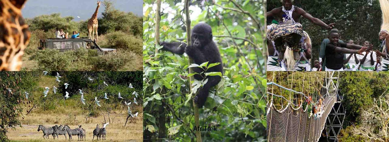 8-days-rwanda-safari.jpg