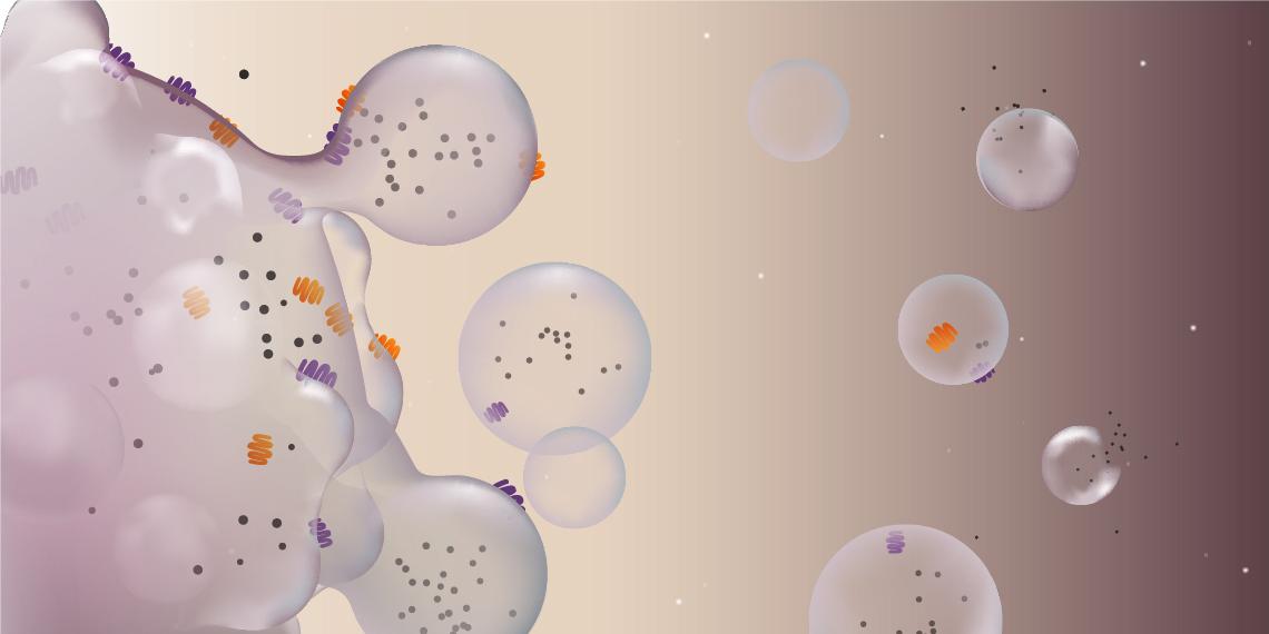 Bio-Serum Particles molecular structure