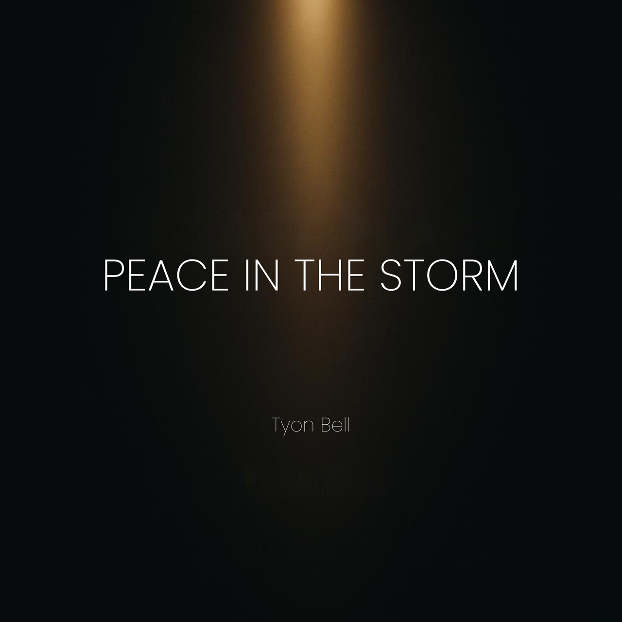 peace in the storm_cover art_master.png