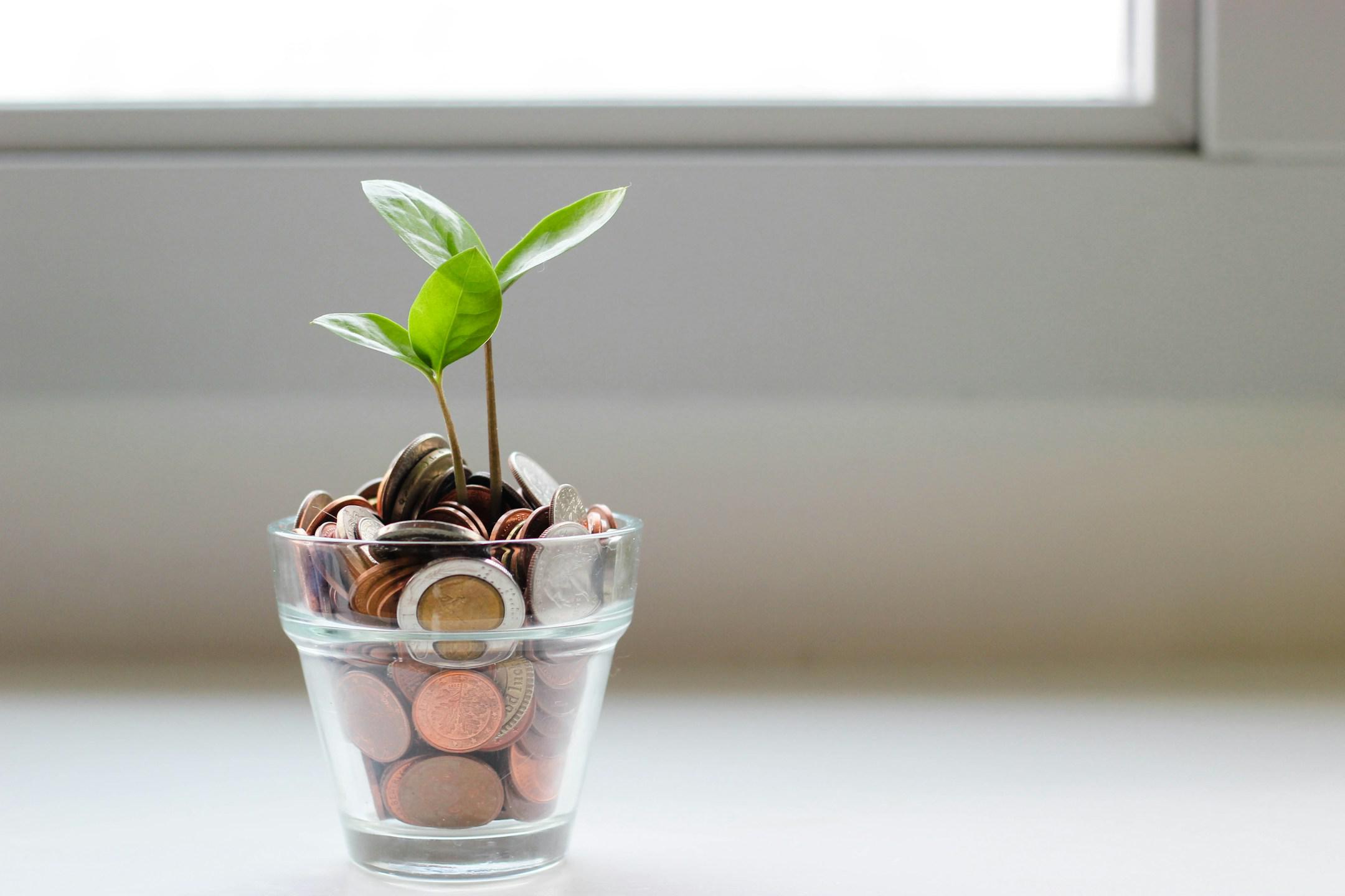Financial planning