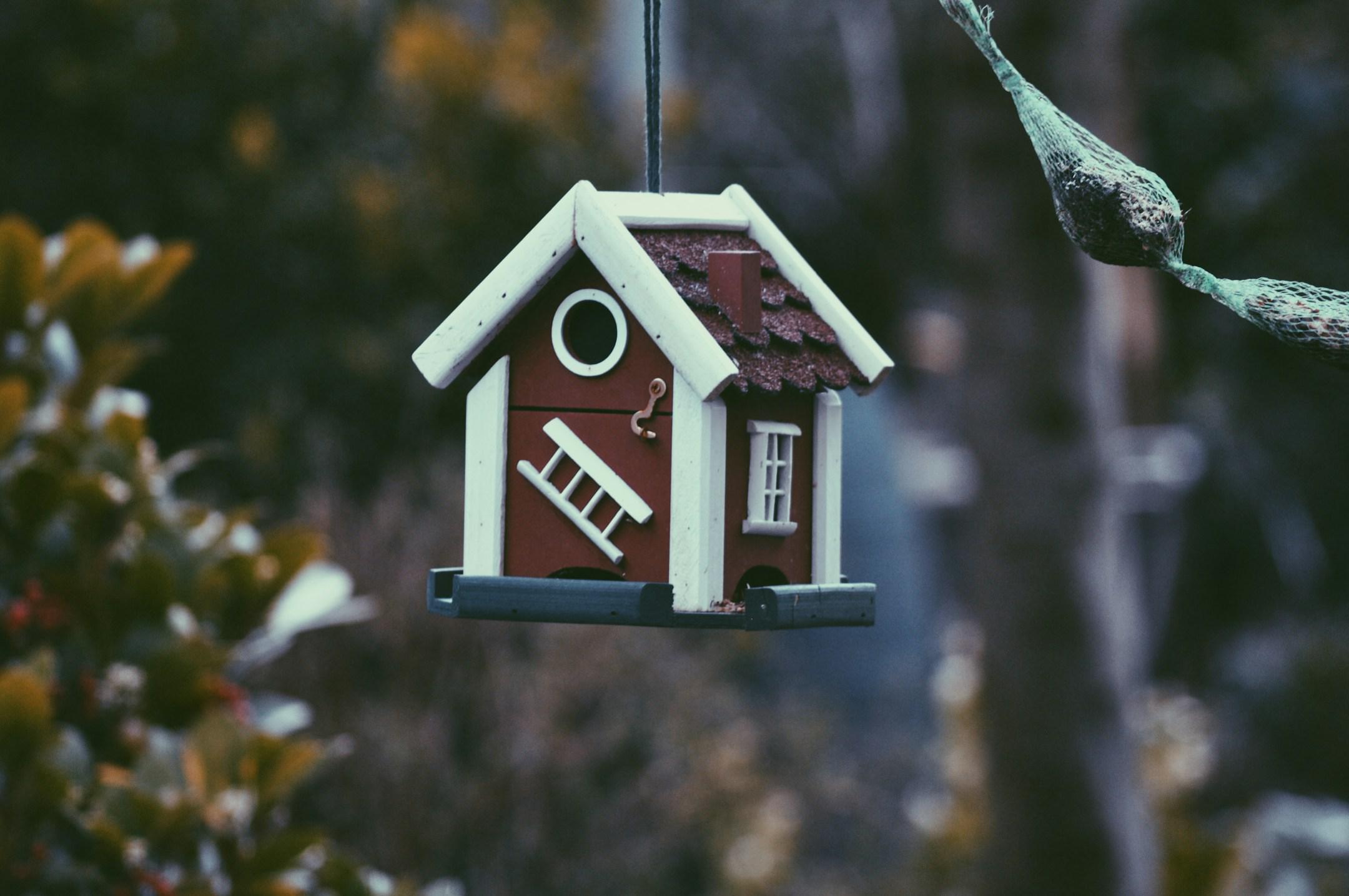 This is the Swedish birdhouse thats been living in our garden. bird house - Birdbox - Little house