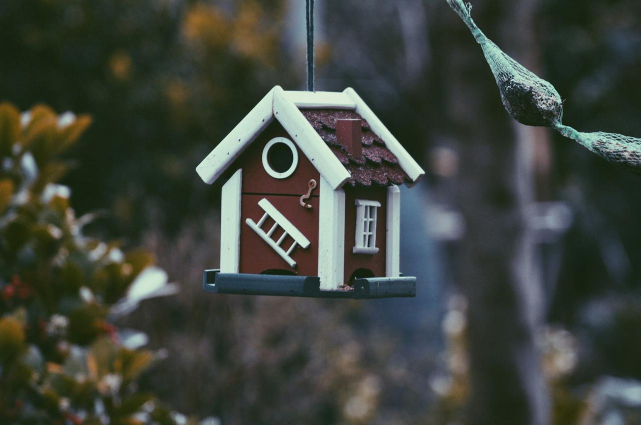 This is the Swedish birdhouse thats been living in our garden. bird house - Birdbox - Little house