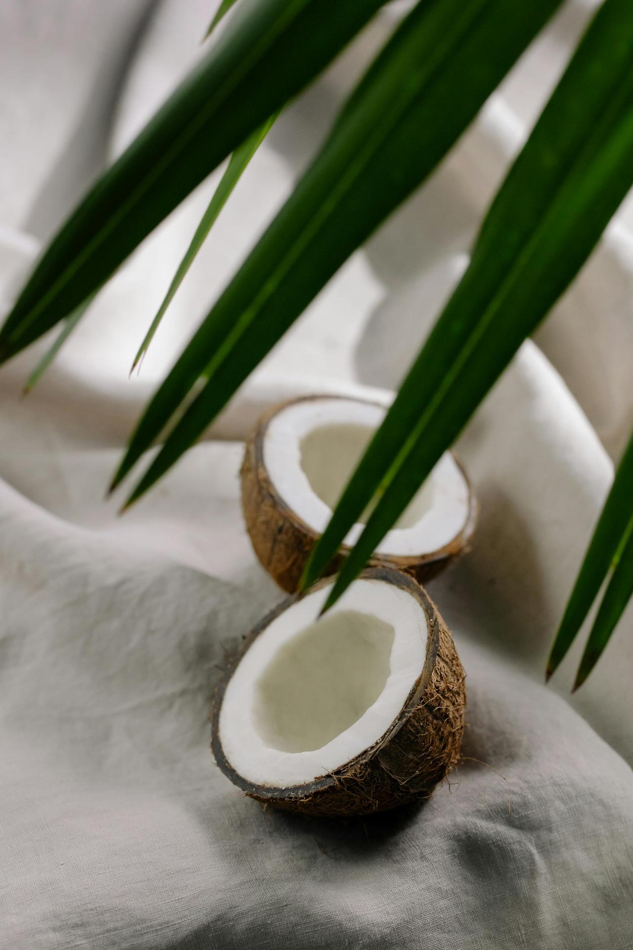 Fresh coconut halves on fabric background with tropical leaves, highlighting natural beauty.