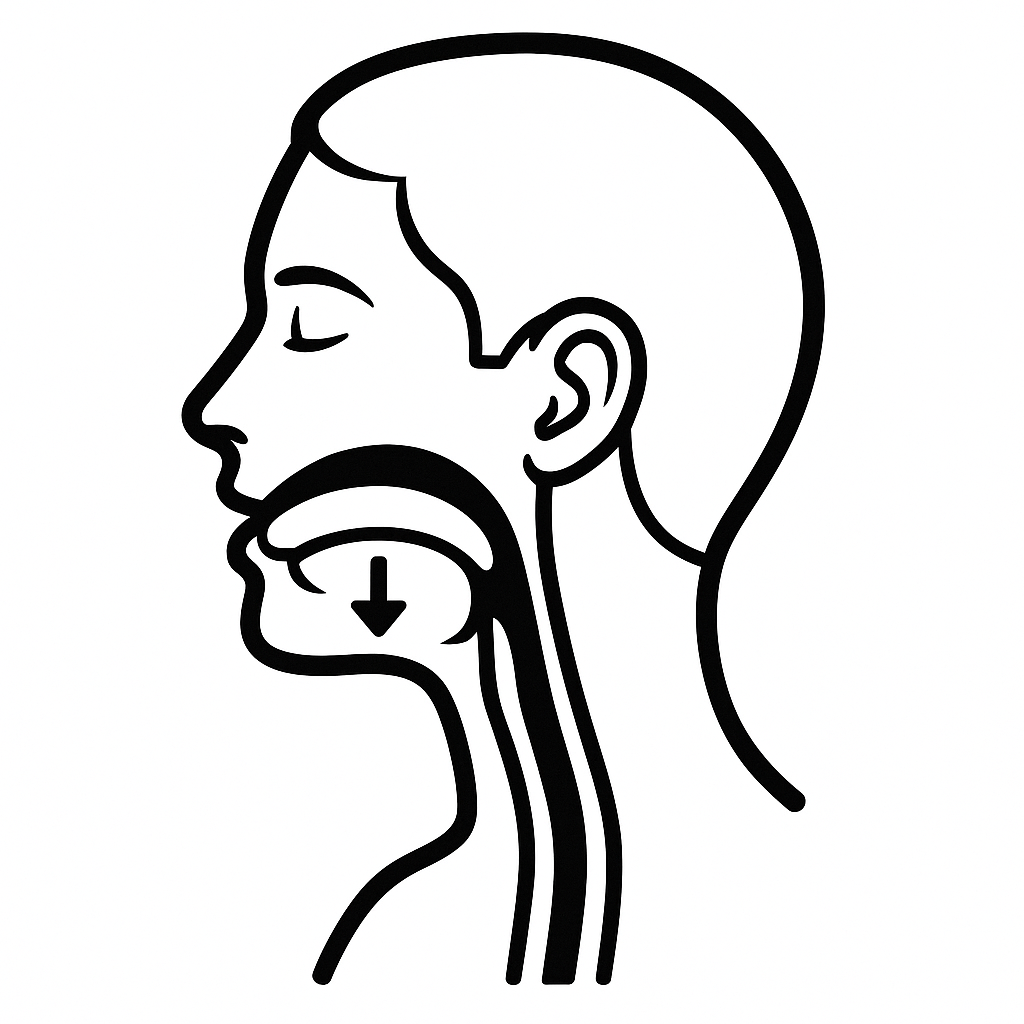 swallowing anatomy in profile.png