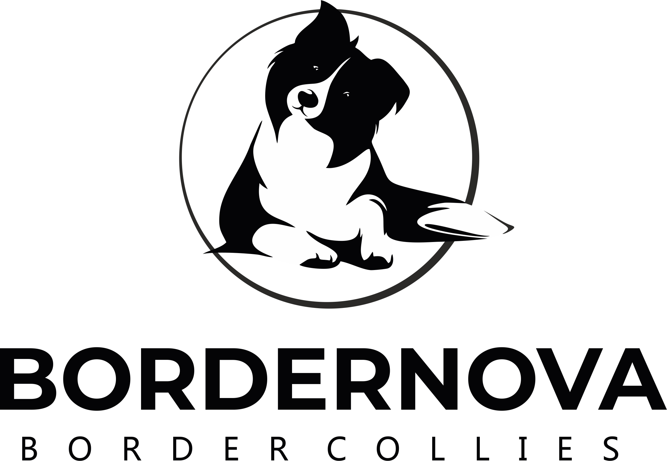 Bordernova Border Collies Logo