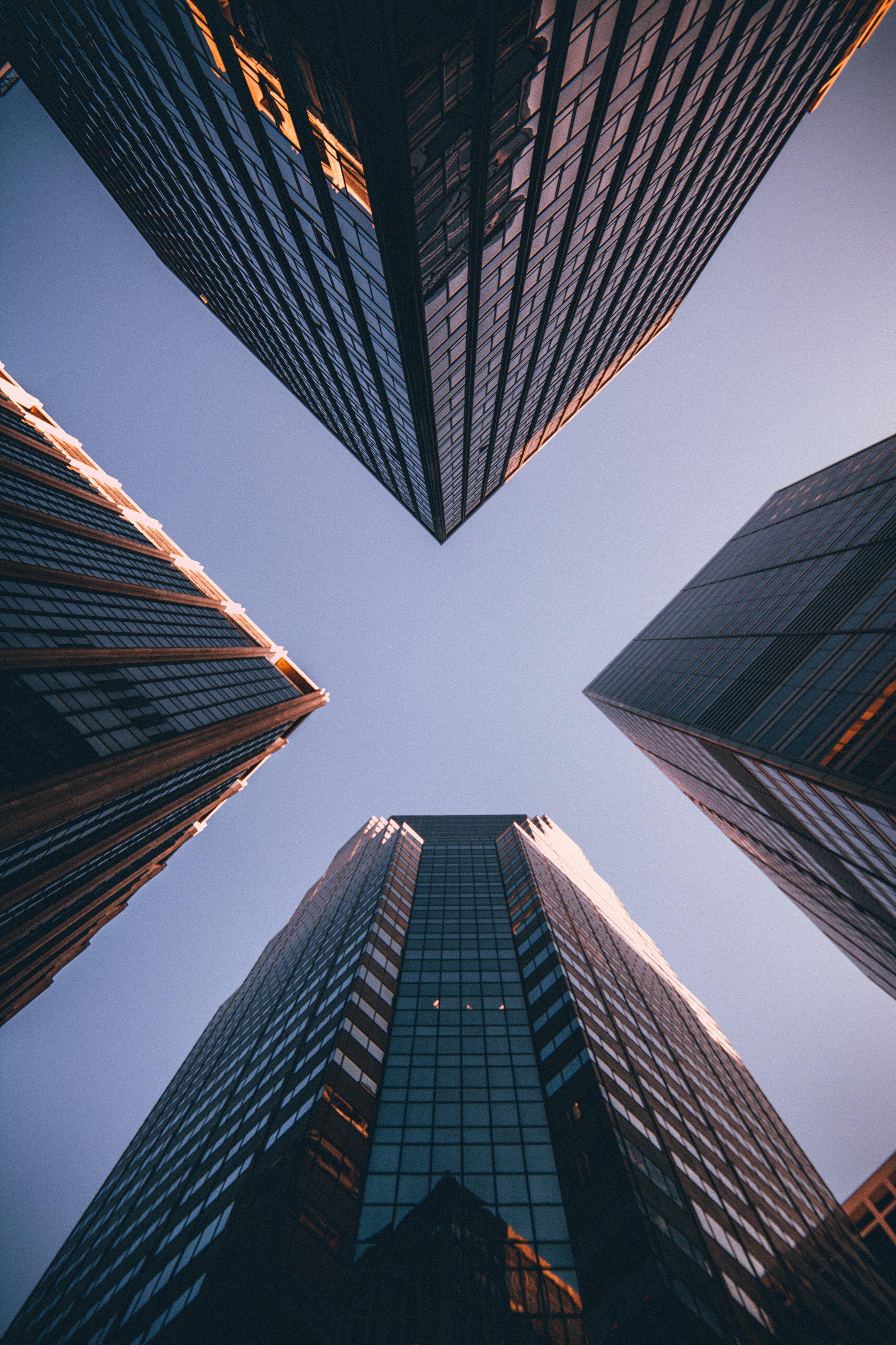 Transform your brand with business strategy specialists.