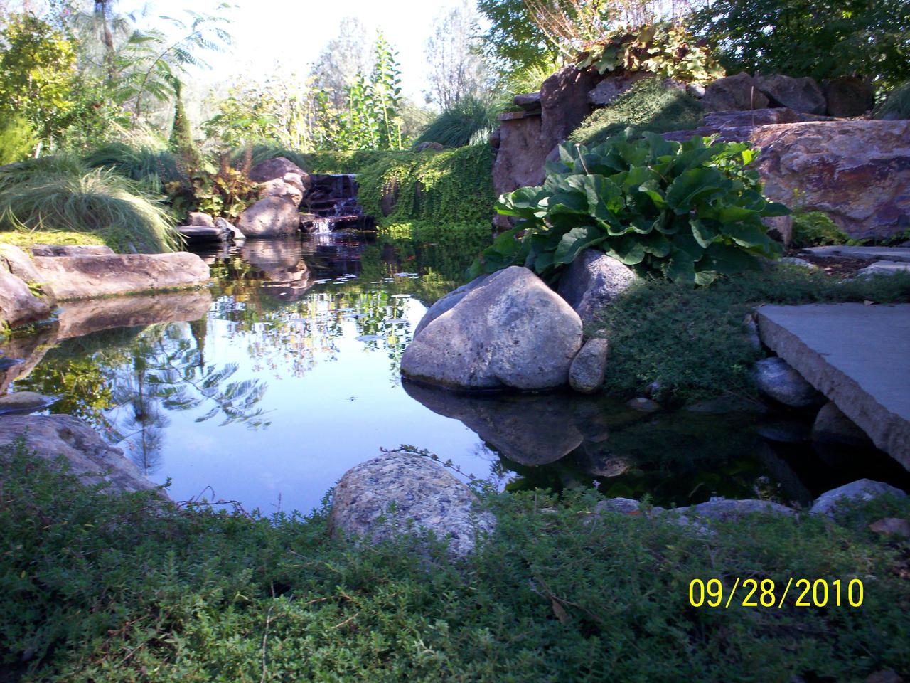 landscape pix 2010, doobies 2010, rental house 024.jpg