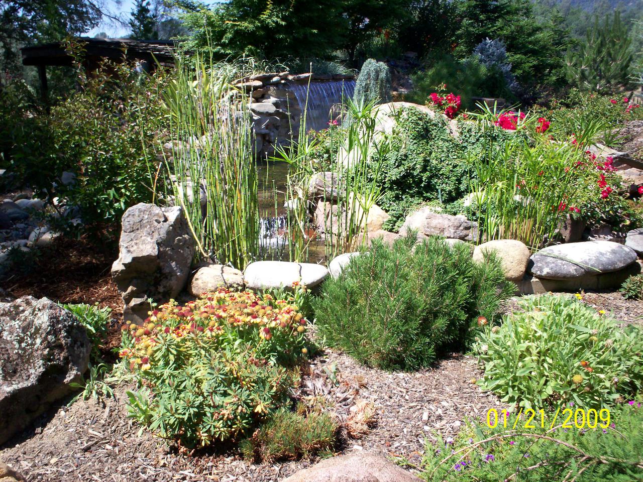 landscape pictures, design time, misc, fishing _ callie 166.jpg