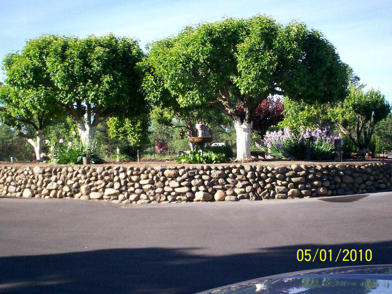 landscape pictures, design time, misc, fishing _ callie 310.jpg