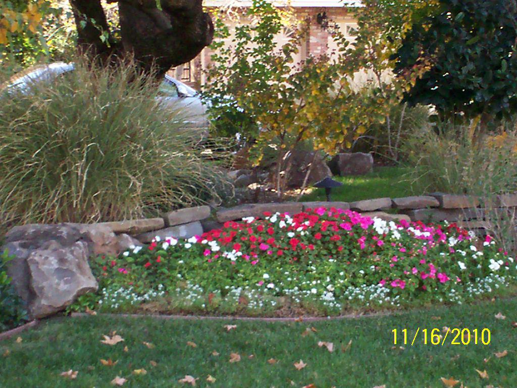 additional web page pix 030.jpg