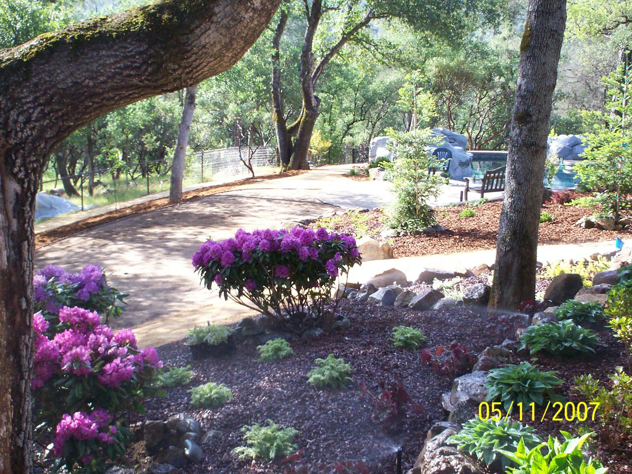 work pictures 186.jpg