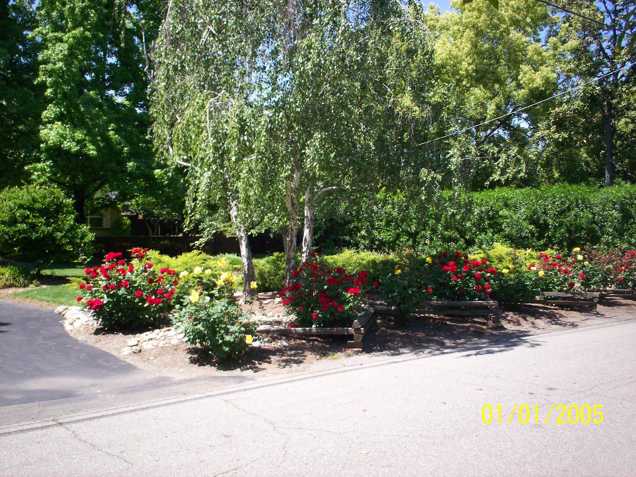 pix of accounts 041.jpg