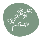 dry creek beds for drainage