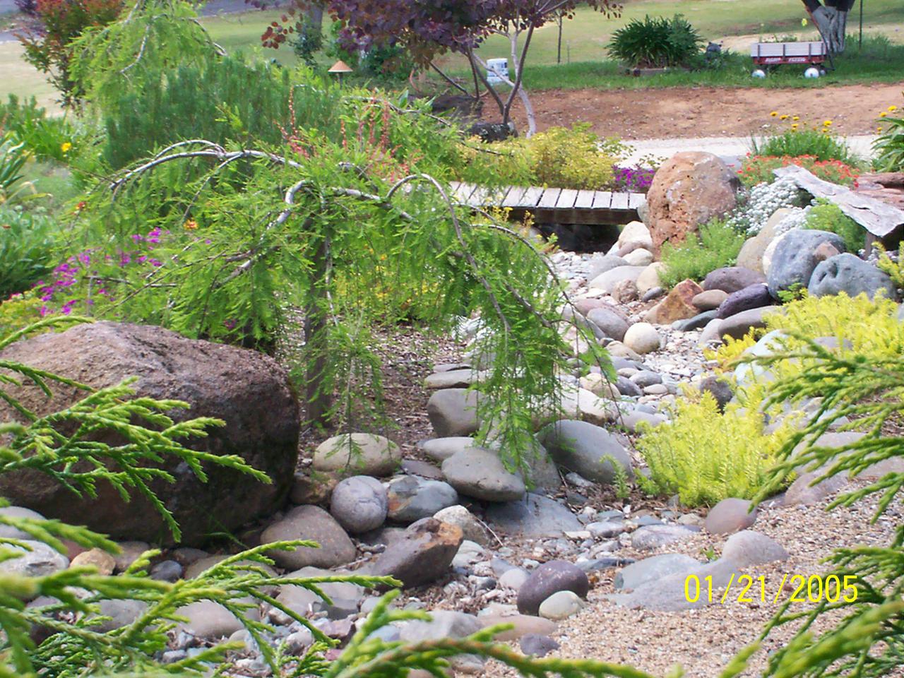 additional june 2001 pix 003.jpg