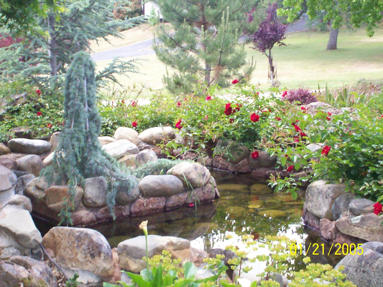 additional june 2001 pix 004.jpg