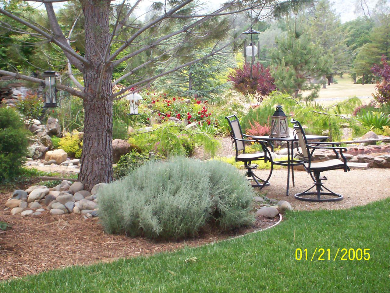 additional june 2001 pix 001.jpg