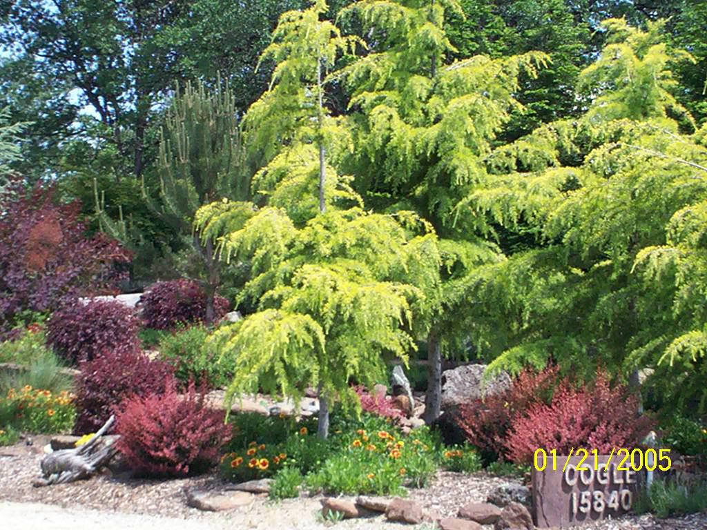 additional june 2001 pix 011.jpg