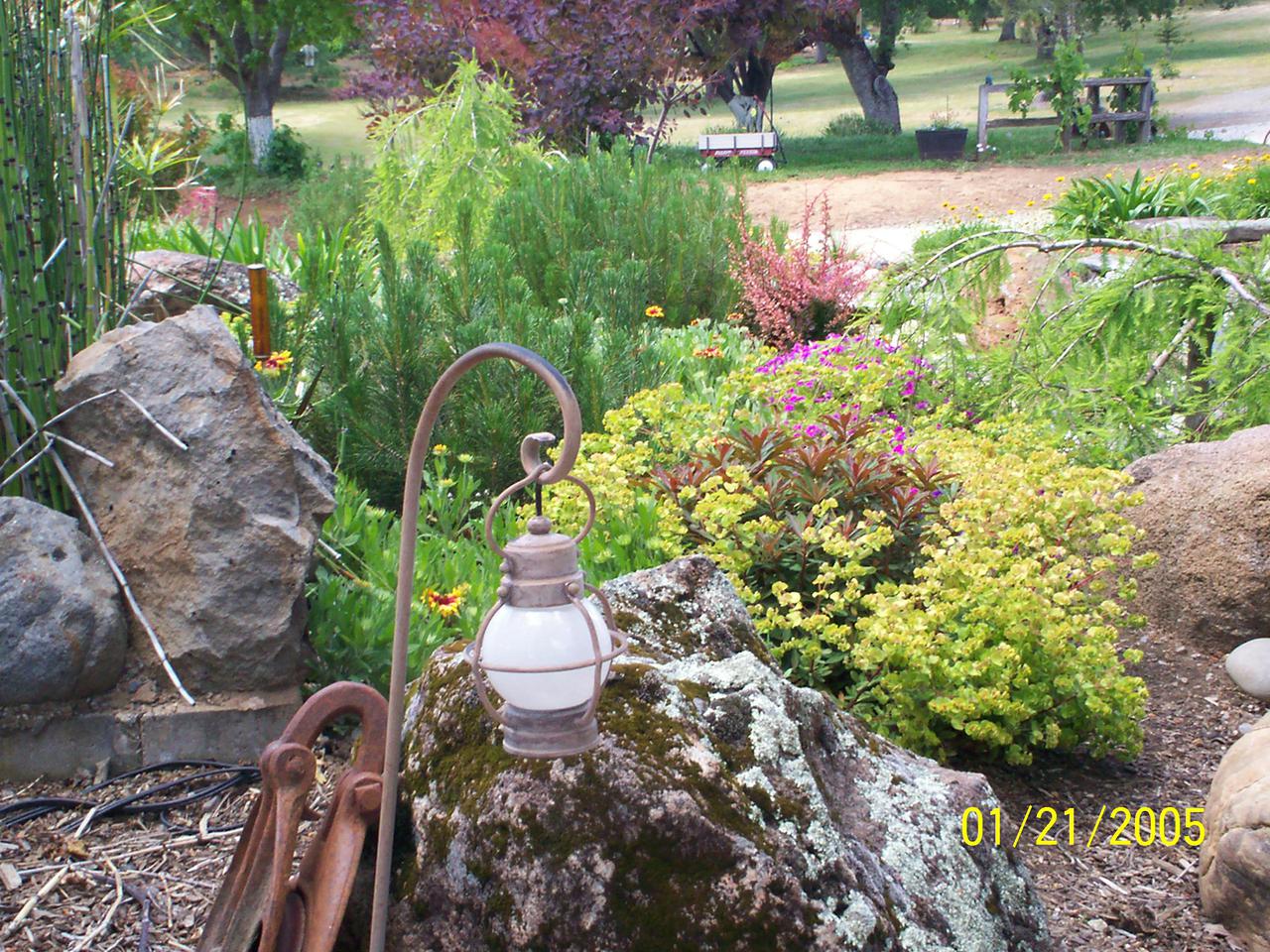 additional june 2001 pix 007.jpg