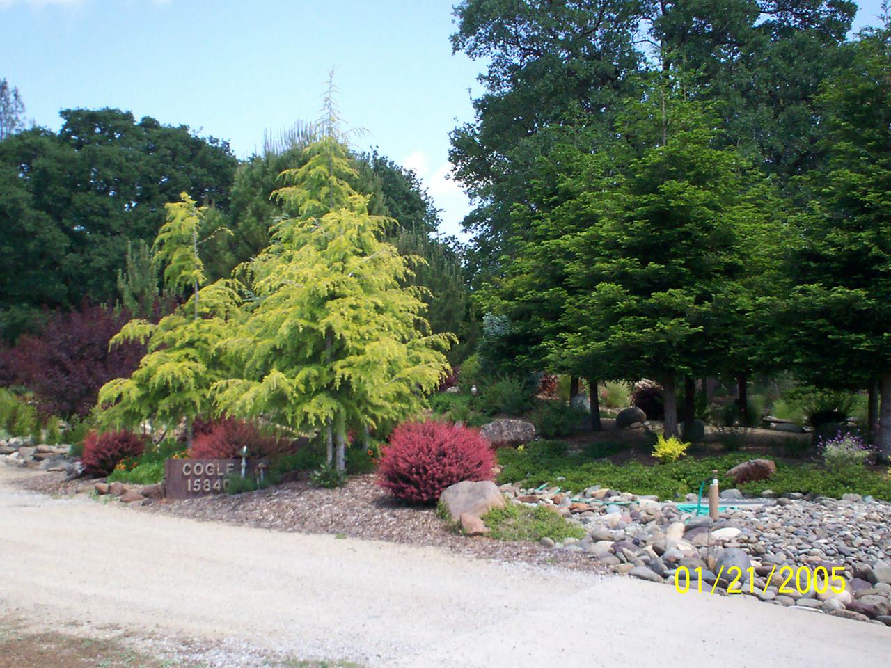 additional june 2001 pix 010.jpg