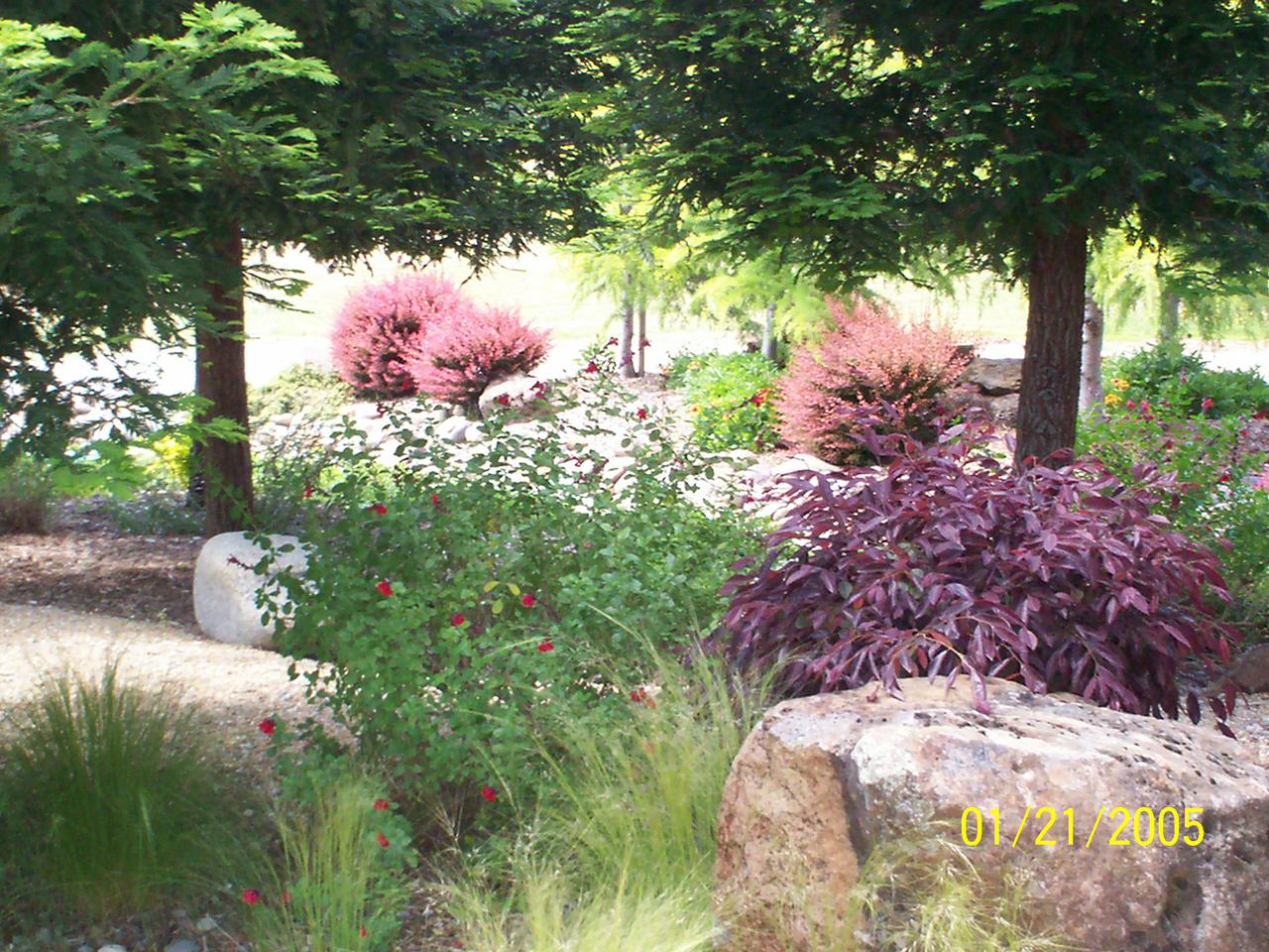 additional june 2001 pix 008.jpg