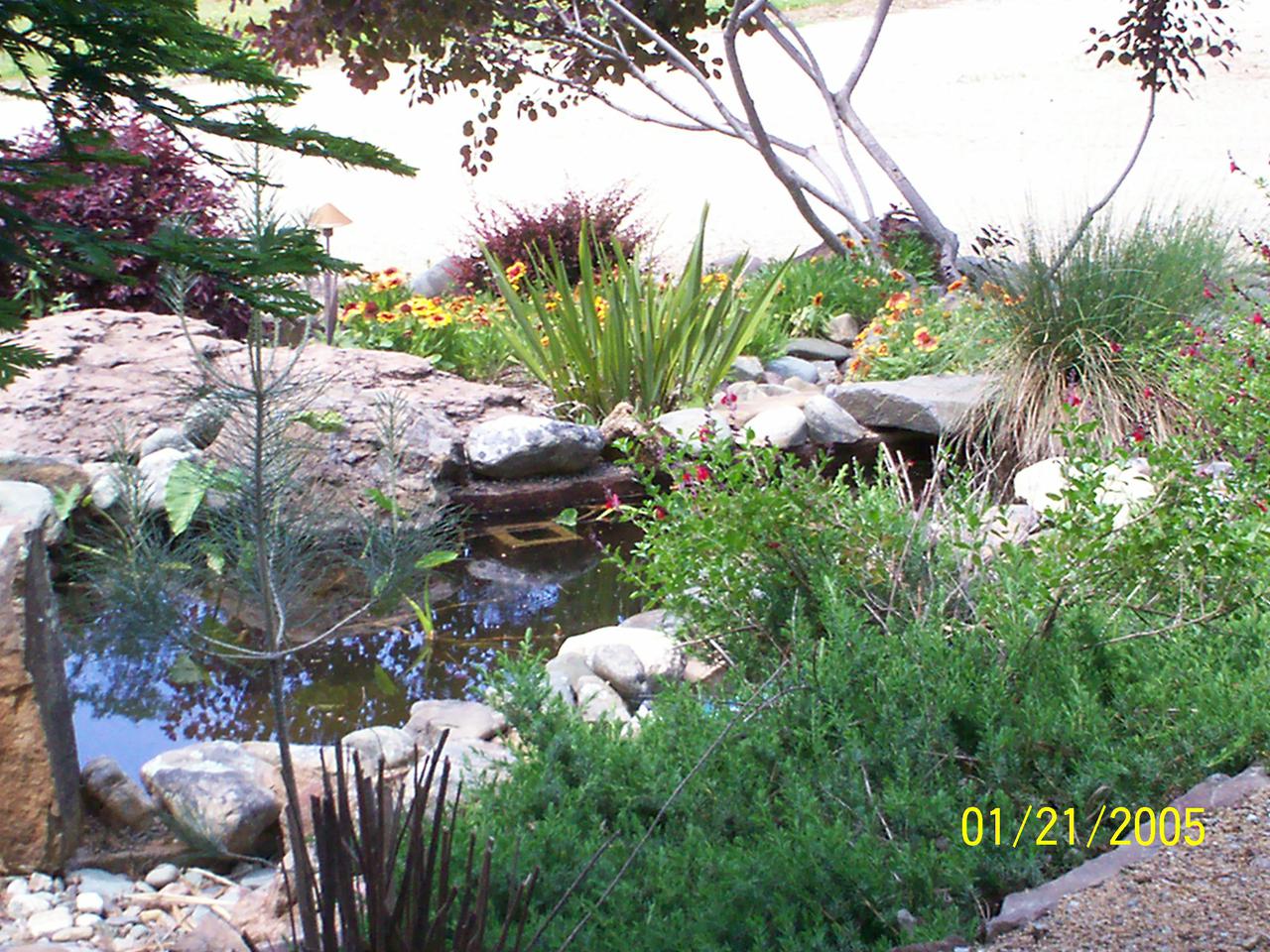 additional june 2001 pix 009.jpg